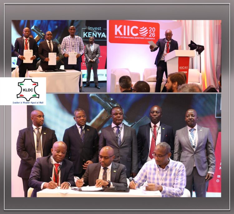 $100 Million Financing Deal Positions Kenya as a Regional Leather Hub