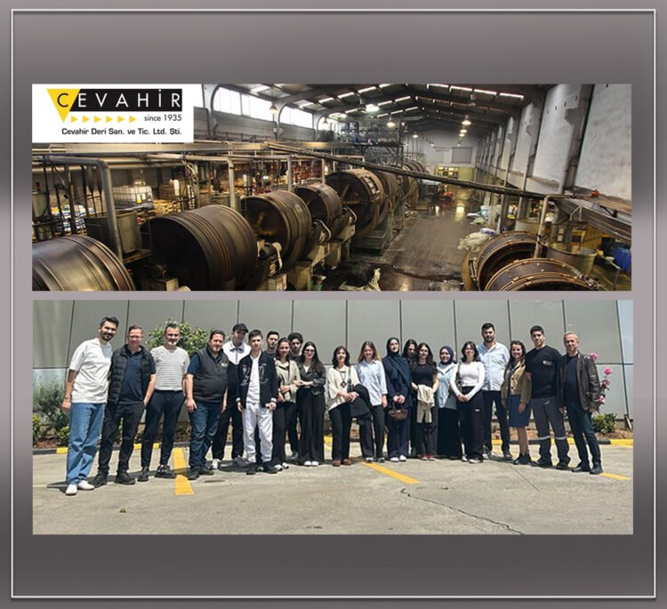 Посещение Cevahir Deri студентами, изучающими технологию производства кожи