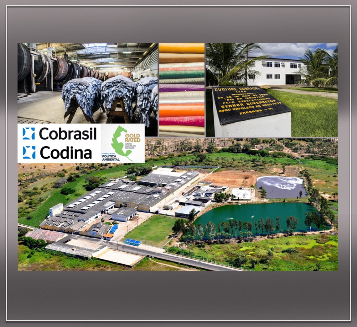 Codina Group Celebrates 40 Years