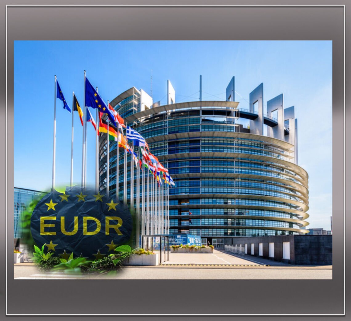 EU Postpones Compliance Report to 2027 as EUDR Timeline Becomes Clear