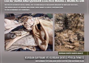 Анализ новостей о шкурах Курбана