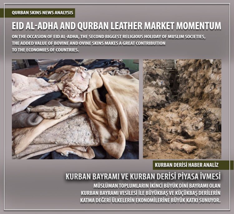 Анализ новостей о шкурах Курбана