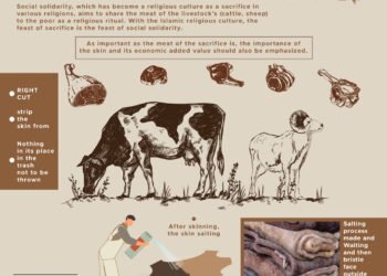 Ид аль-Адха для мусульман всего мира, снятие шкуры и ее правильное хранение