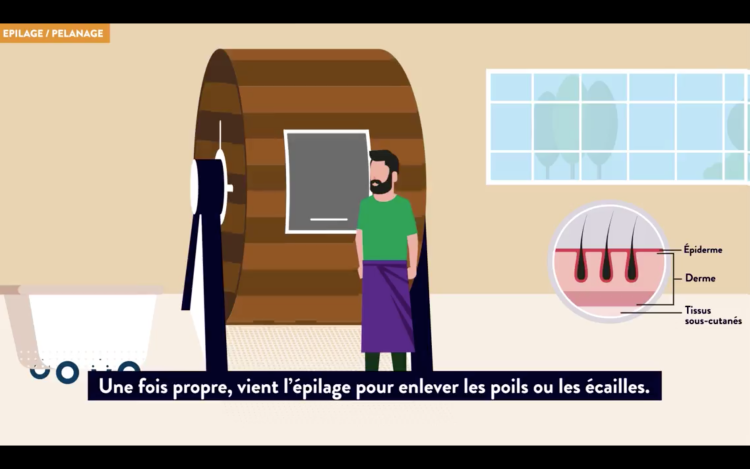 French leather industry created tannery information data