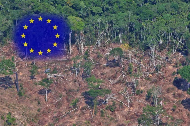 European-Parliament-rejects-amendment-to-deforestation-in-tanning-industry.jpg