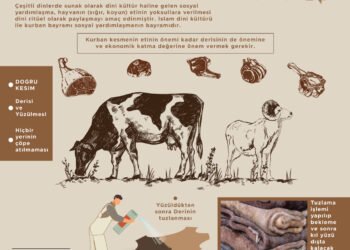 Dünya çapındaki müslümanların kurban bayramı, deriyi doğru yüzmek ve saklamak