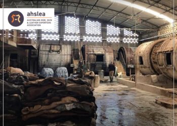 Sustainability Leadership in the Australian Leather Industry
