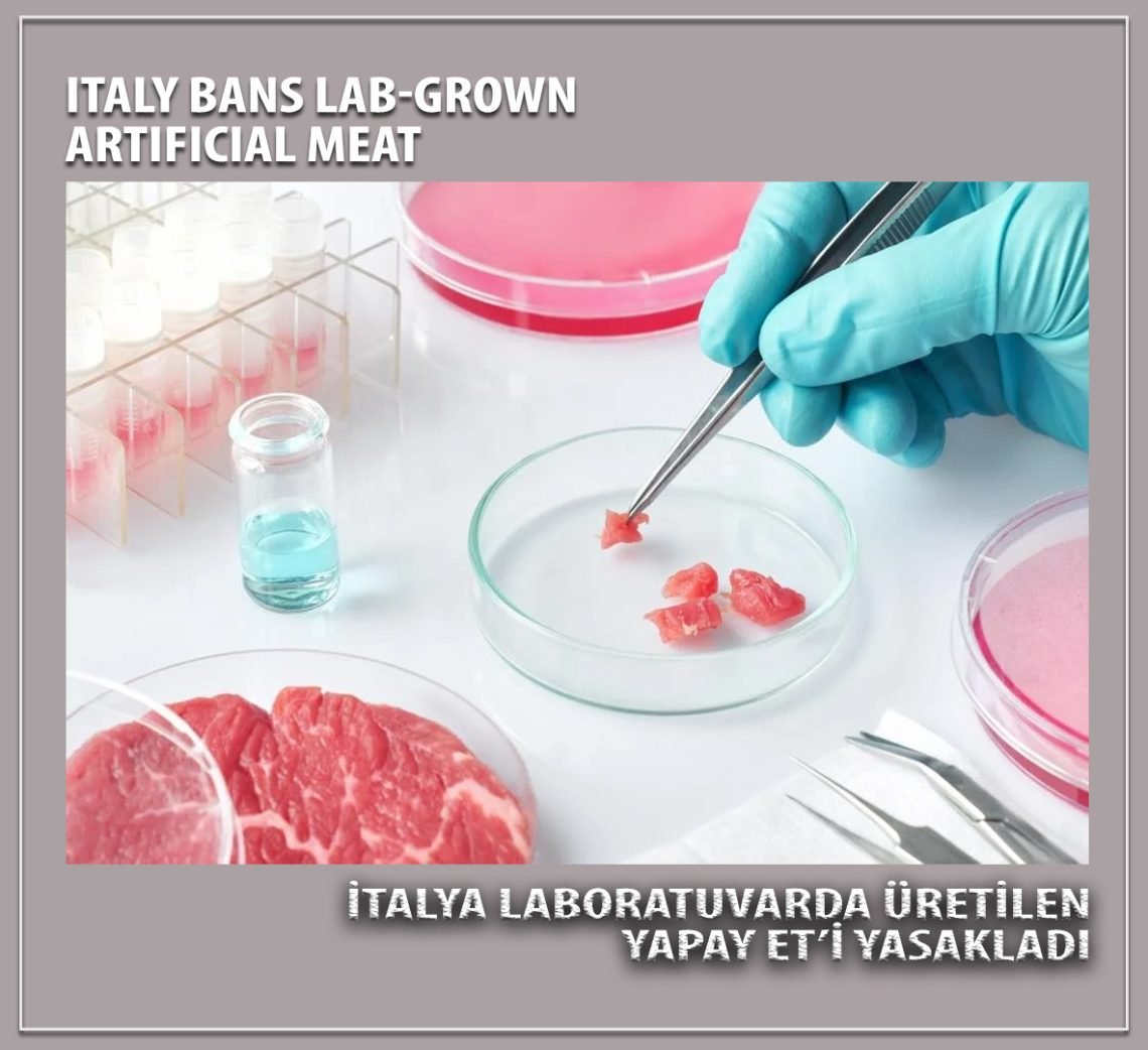 Италия запрещает выращенное в лаборатории искусственное мясо
