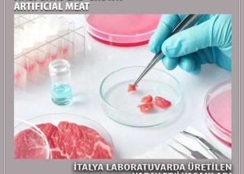 Италия запрещает выращенное в лаборатории искусственное мясо