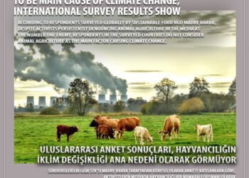 Результаты международного исследования показывают, что животноводство не является основной причиной изменения климата