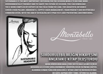 Создана электронная книга, рассказывающая историю устойчивого развития