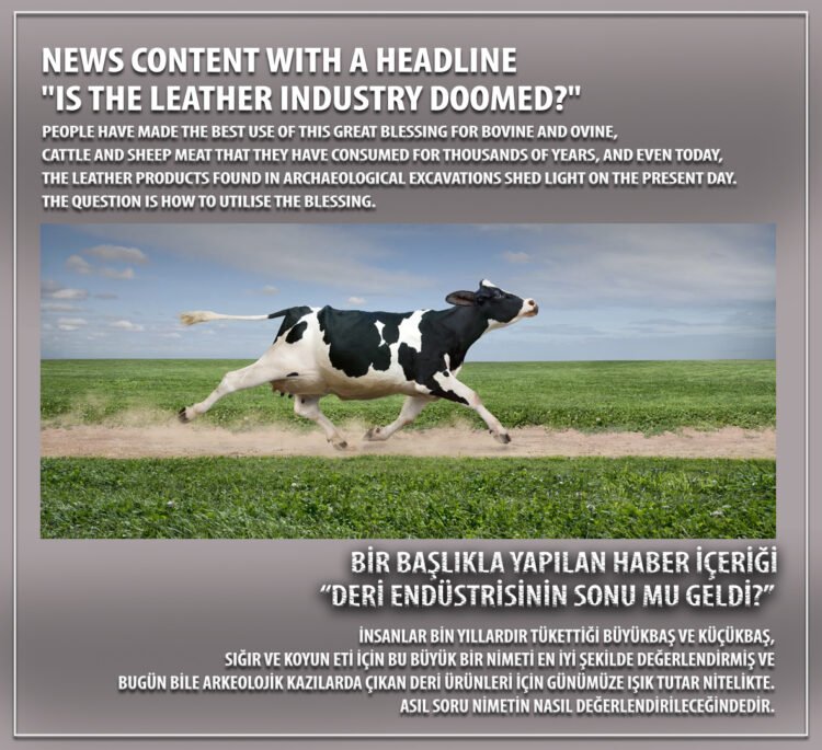 Новостной контент с заголовком «Кожаная промышленность обречена?»