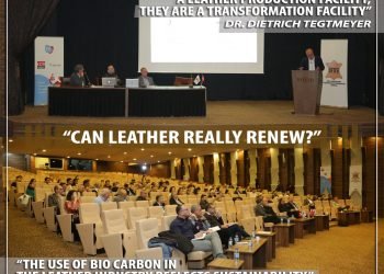 «МОЖЕТ ЛИ КОЖА ДЕЙСТВИТЕЛЬНО ОБНОВИТЬСЯ?»