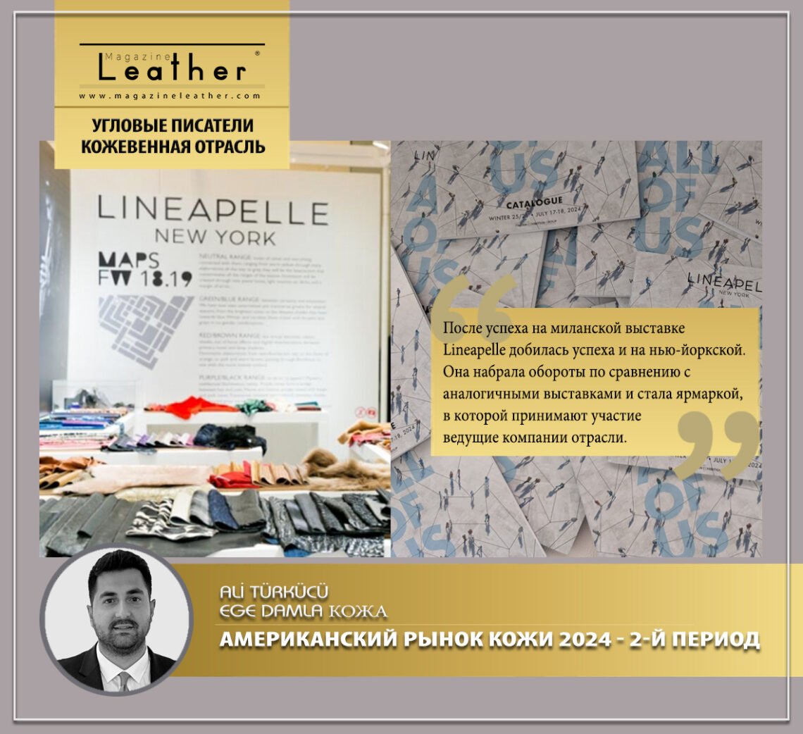 АМЕРИКАНСКИЙ РЫНОК КОЖИ 2024 — 2-Й ПЕРИОД